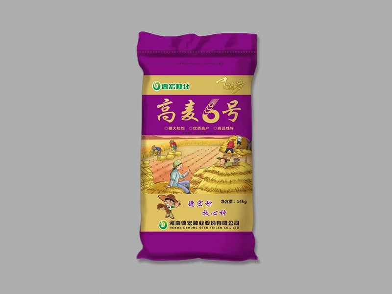 高麥6號(hào)